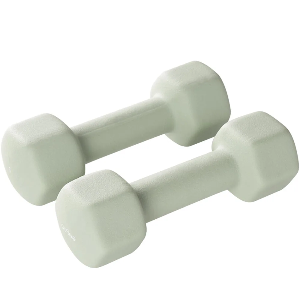 쿠팡 앳플리 LW 미용 아령 3kg 2개