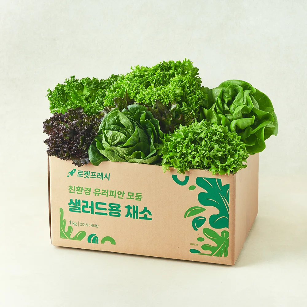 쿠팡 친환경 유러피안 모둠 샐러드용 채소
