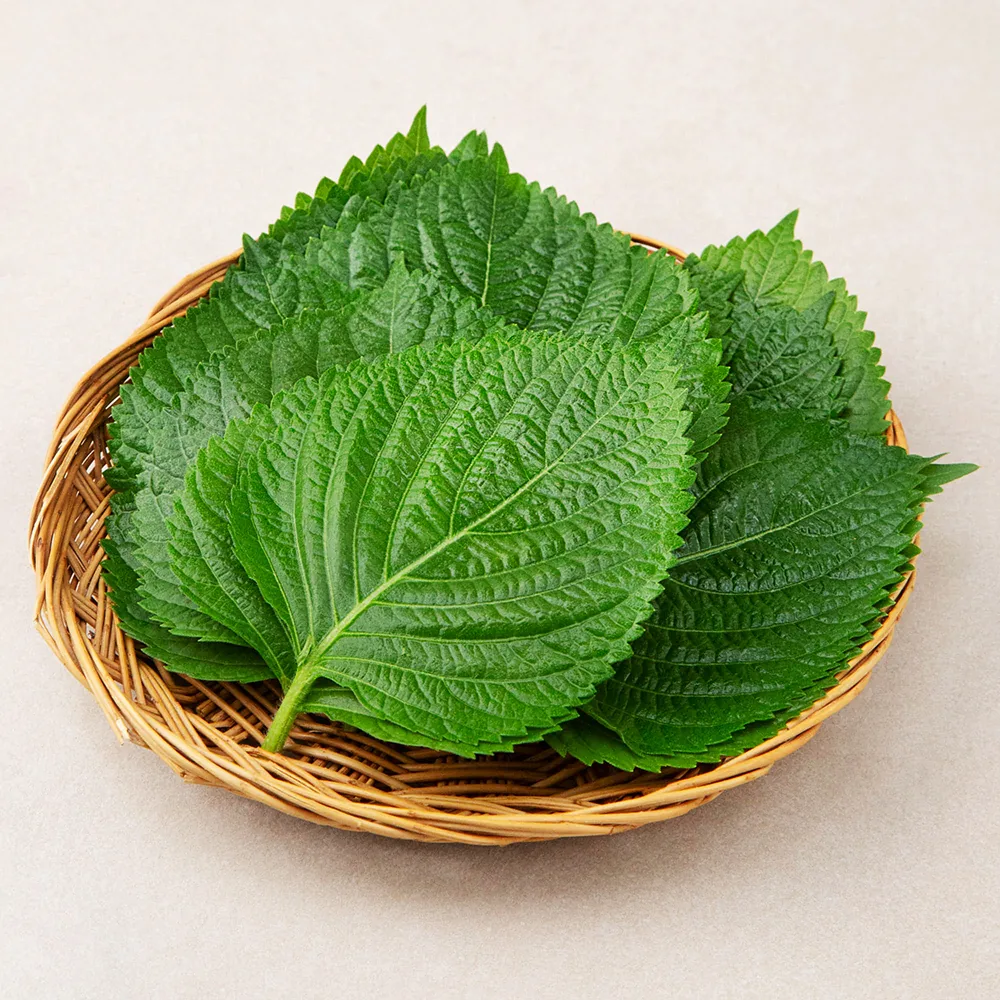 쿠팡 GAP인증 밀양 깻잎