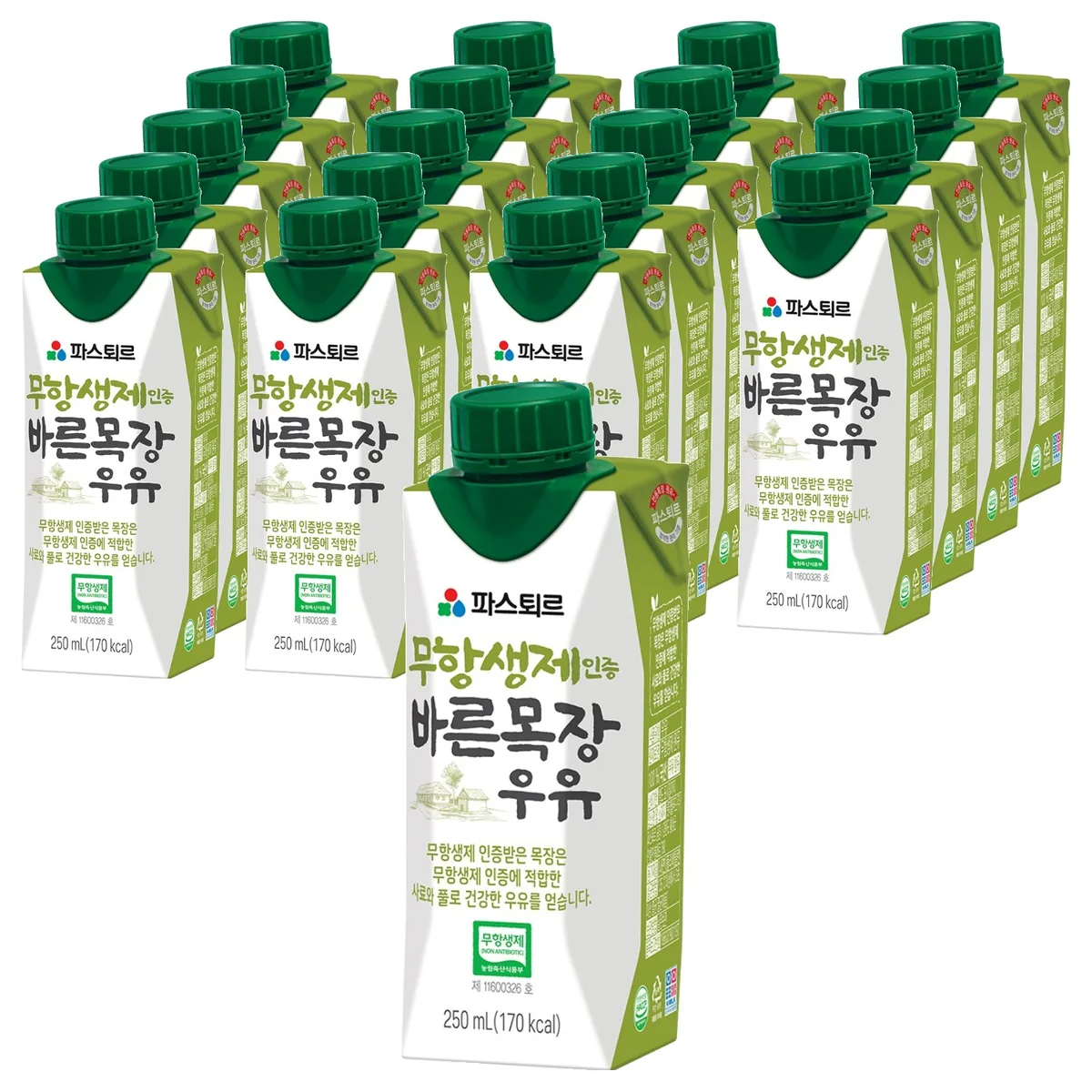 쿠팡 파스퇴르 바른목장 우유