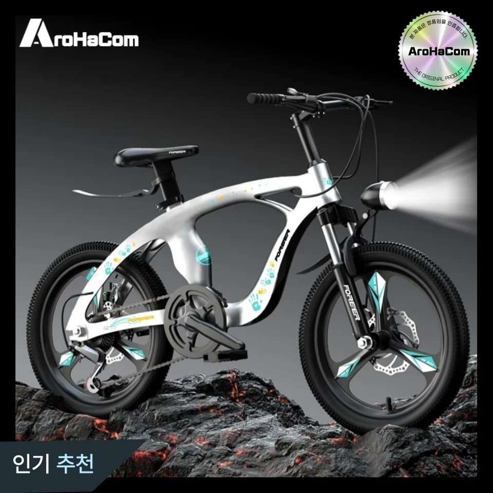 쿠팡 AROHACOM MTB 팻바이크 22인치 청소년 산악 주니어 학생용 시마노 18인치 브라이트 실버 스포크휠 싱글