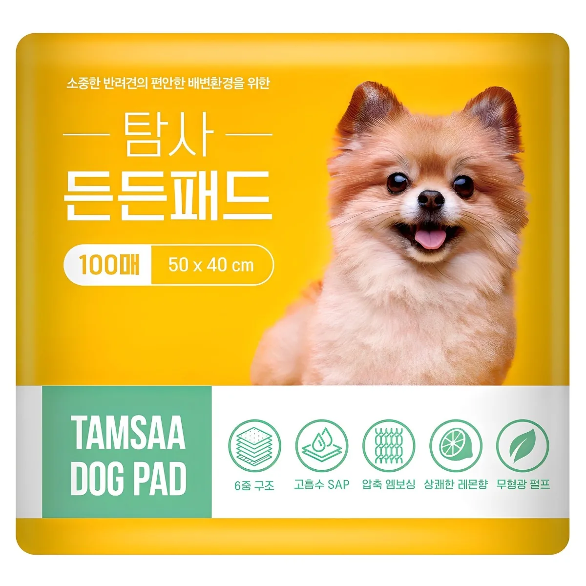 쿠팡 탐사 고흡수 든든패드 레몬향