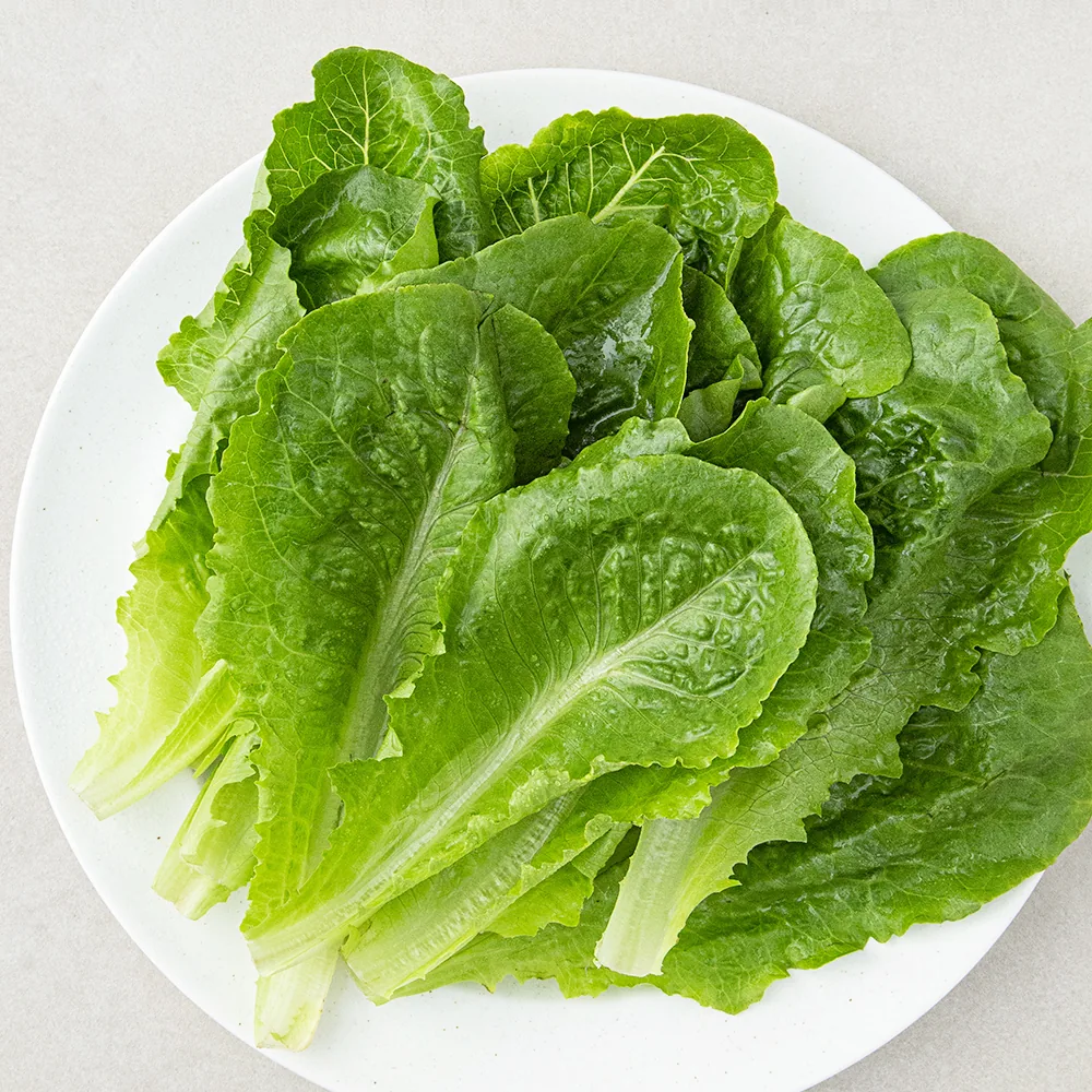 쿠팡 로메인 상추