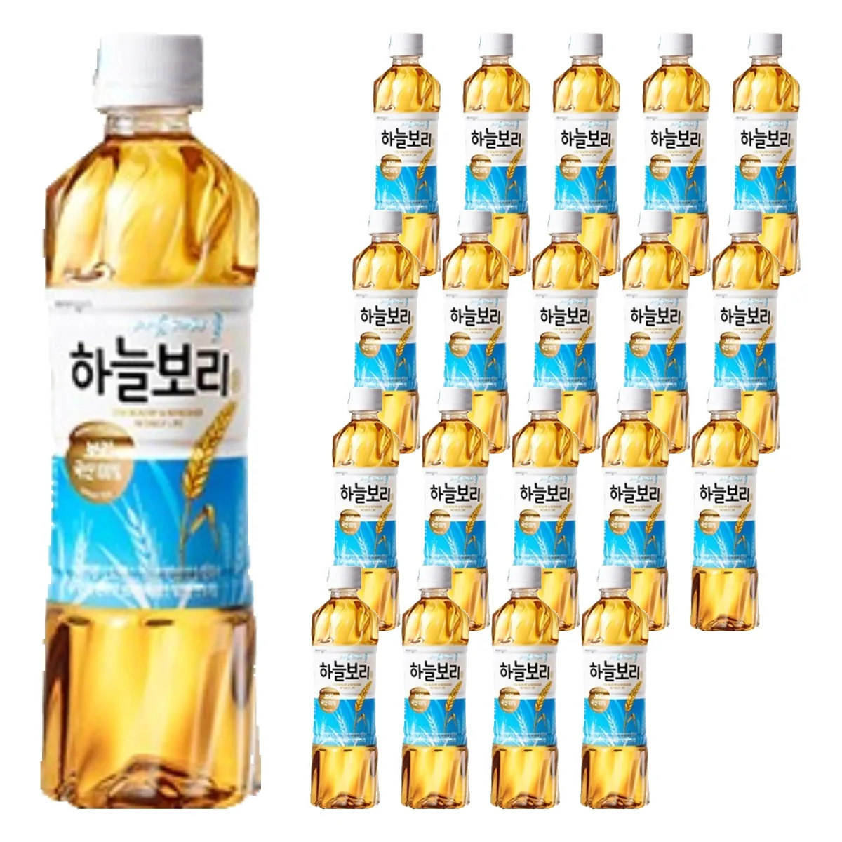 쿠팡 하늘보리